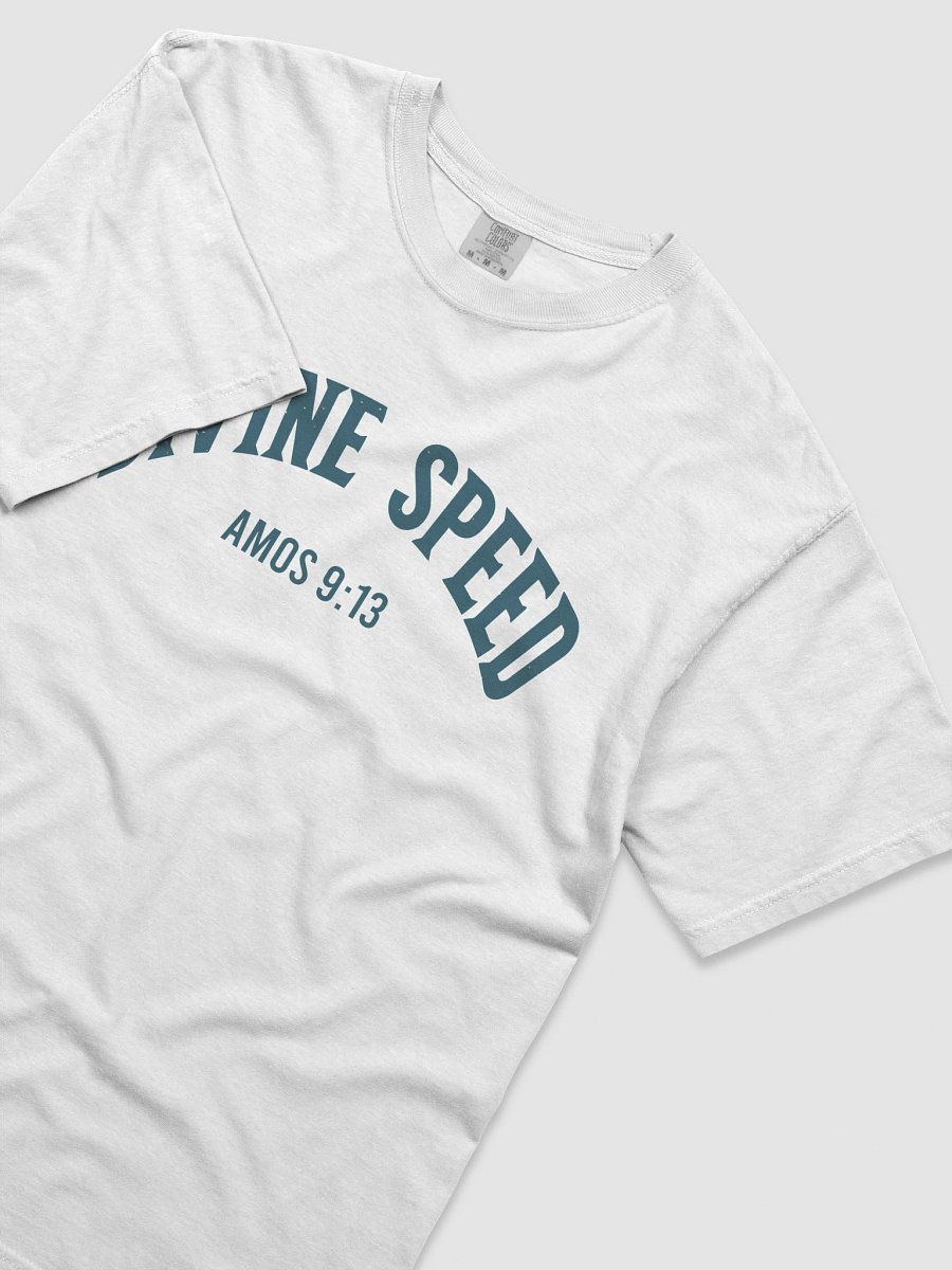 Divine Speed Retro Amos 9:13 Heavyweight Tee product image (5)