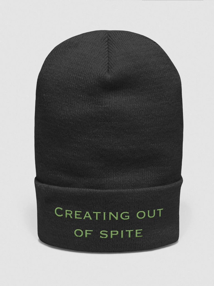 Creating out of Spite product image (1)