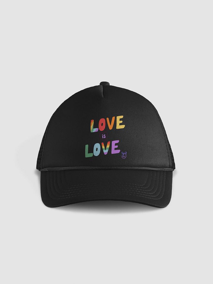 Love Is Love Snapback product image (2)