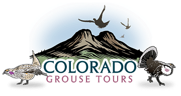 Colorado Grouse Tours
