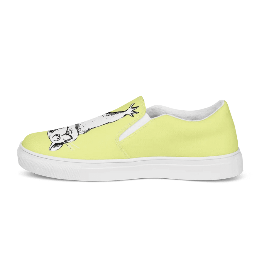 Hint of rat slip on canvas shoes product image (11)