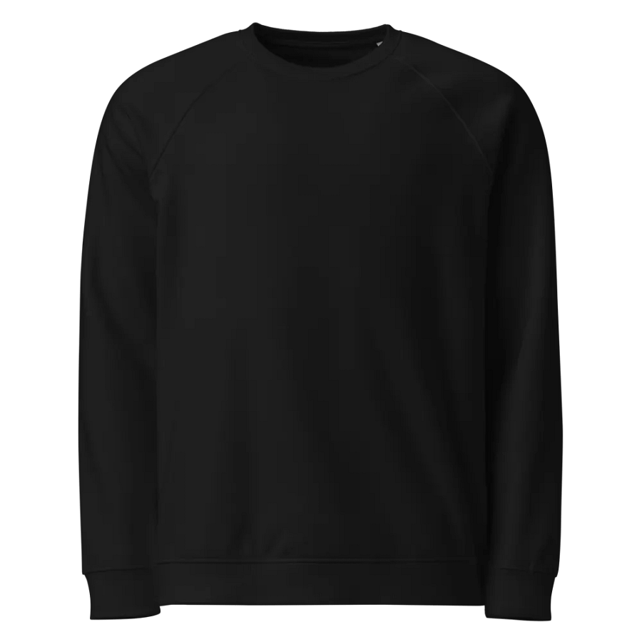 Plain Color Black Raglan Sweatshirt product image (5)