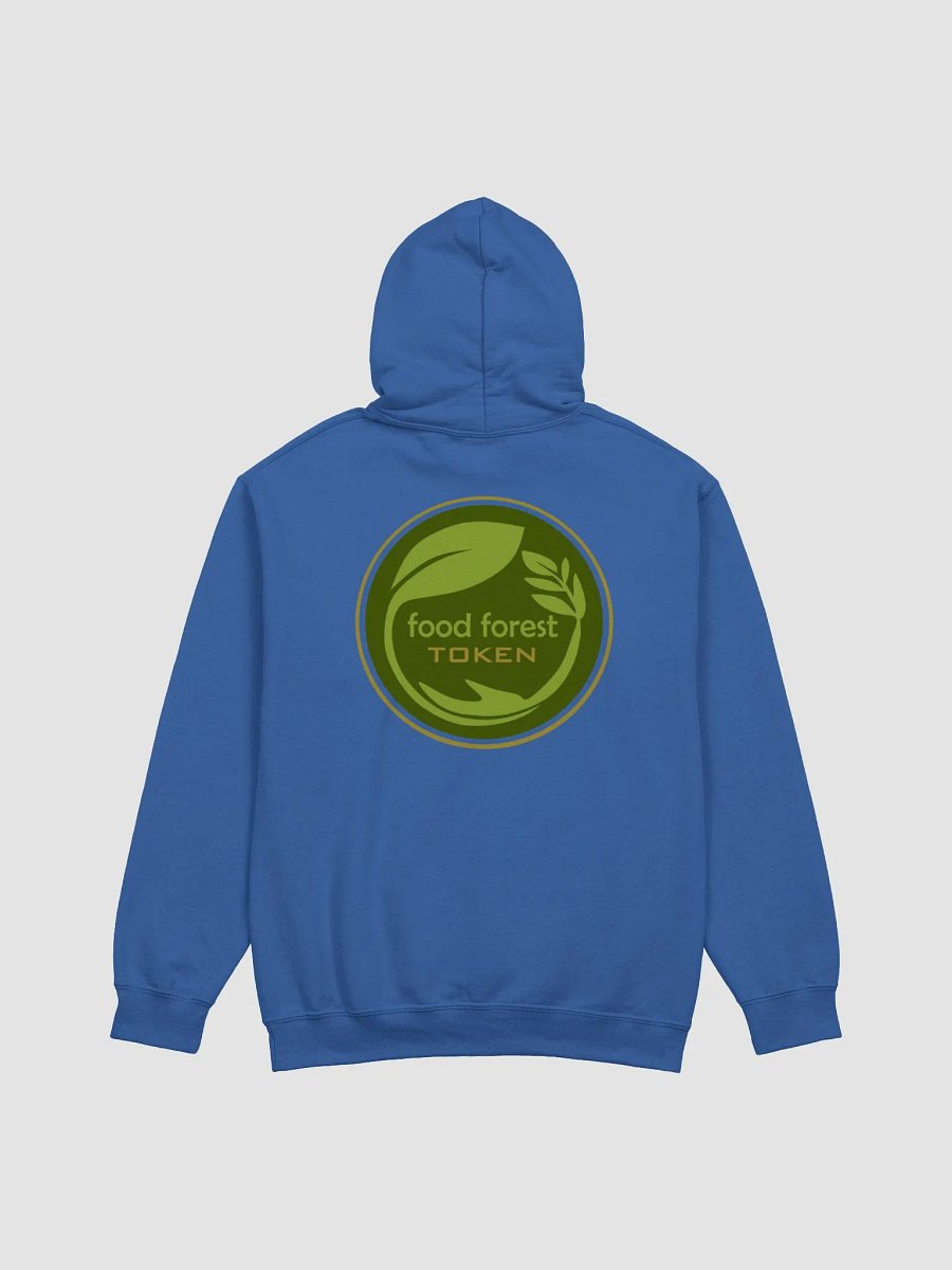 FFS Hoodie Royal - Felpa Royal FFS product image (2)