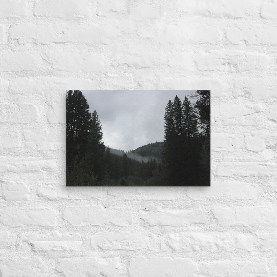 Though the Tree Line - Canvas product image (7)