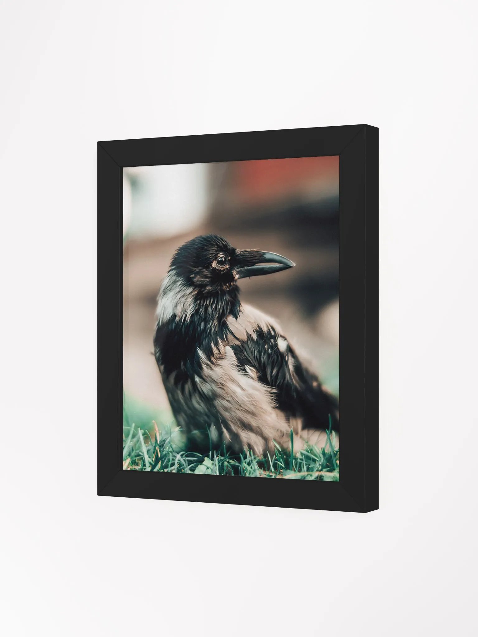 In loving memory of Hafez product image (3)