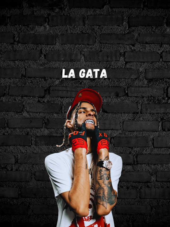 Type Beat Sound Yovngchimi - La Gata MP3 SESSION #7 - FREE product image (1)