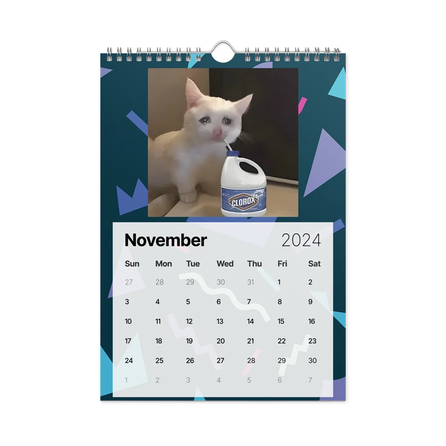 Wall Calendar (2024): Meme Cats product image (15)