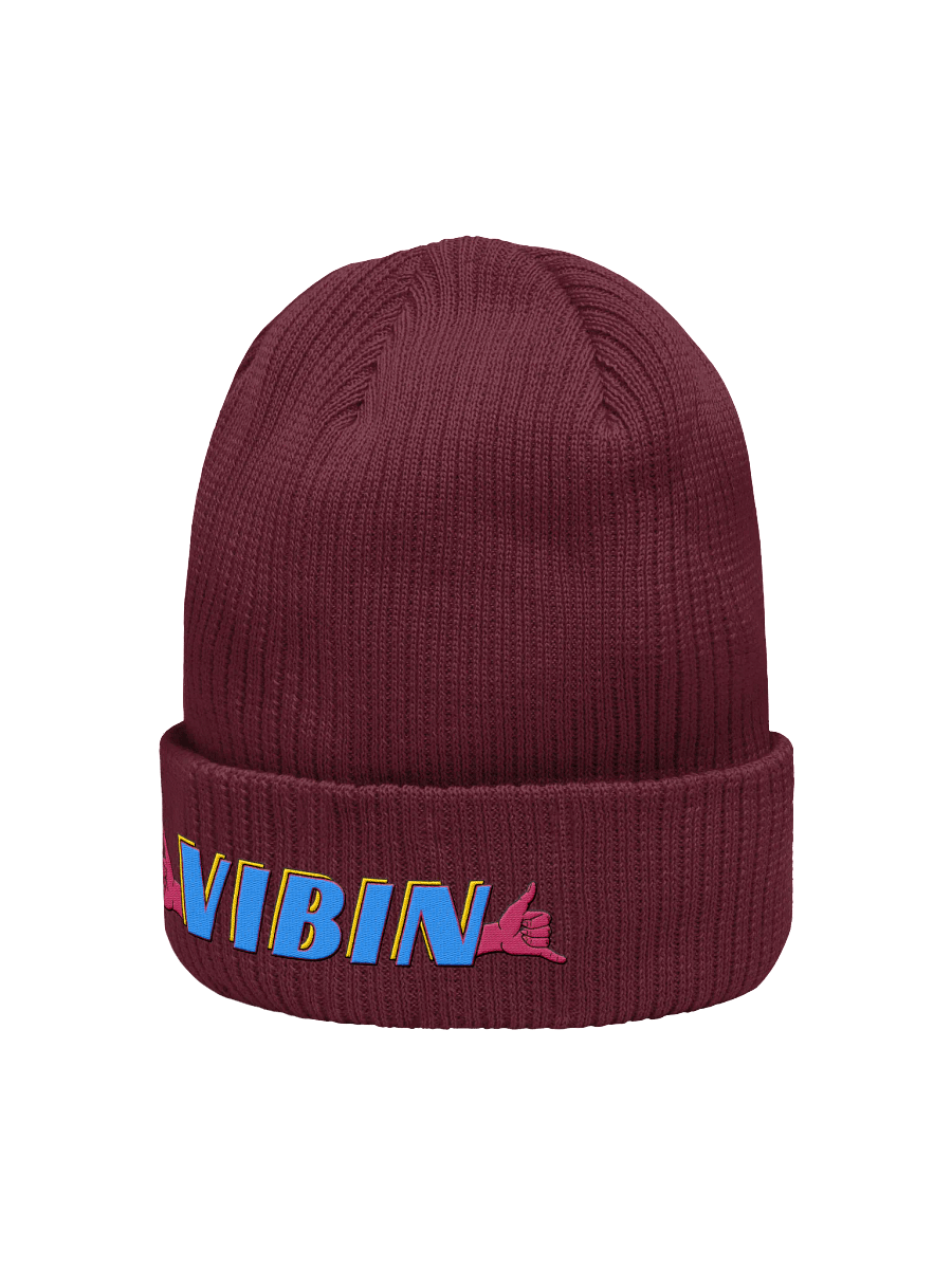Vibin Beanie product image (10)