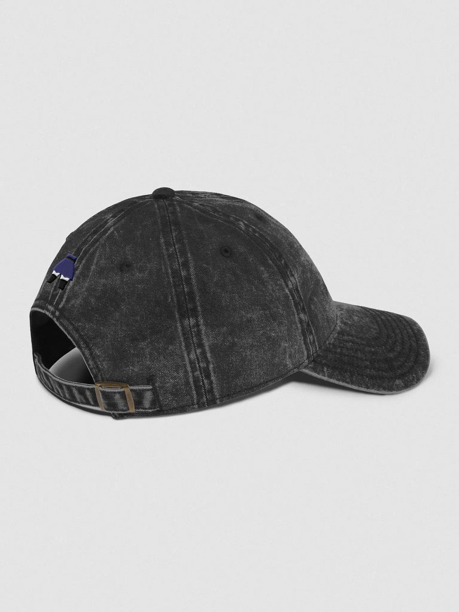 Sweet Dee Sauce faded hat product image (4)