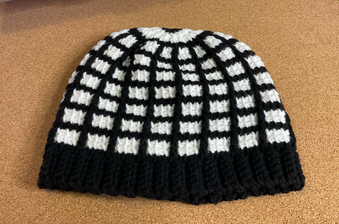Beanie - Tunisian Addams (Black Brim Variant) product image (1)