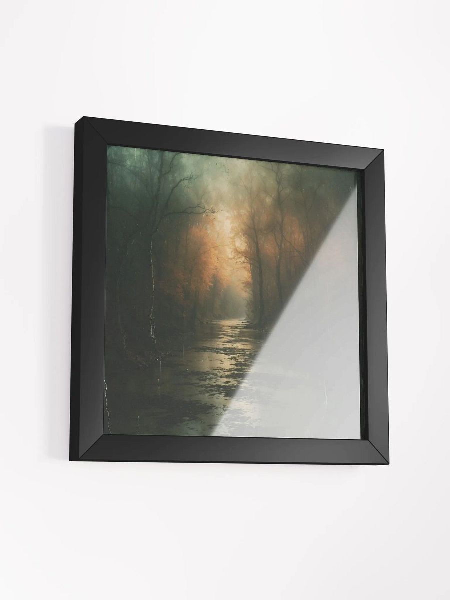 Flooded Forest Path Framed Print product image (27)