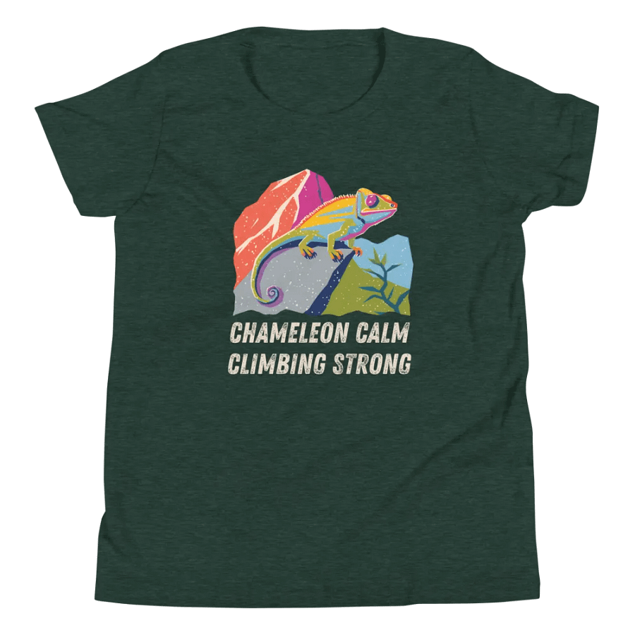 Chameleon Calm - Youth Climbing T-Shirt product image (24)