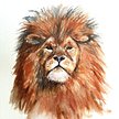 Evendawn Arts - Connecting Your Heart With Nature