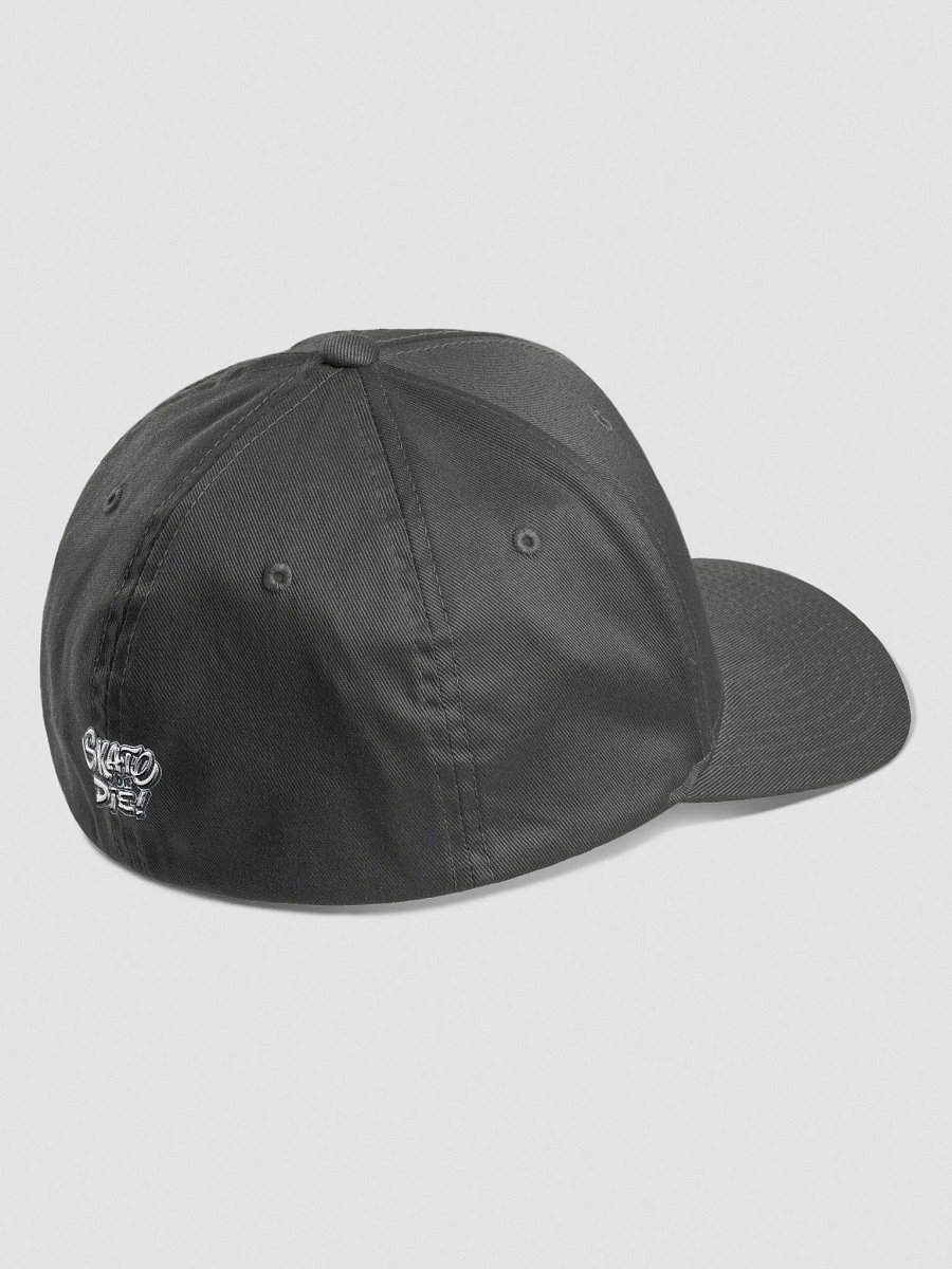 Skate Or Die! Fitted product image (21)