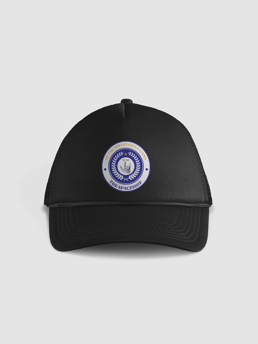 The Spaceship Of The Adventurous Liama - Liama Goes To The product image (1)