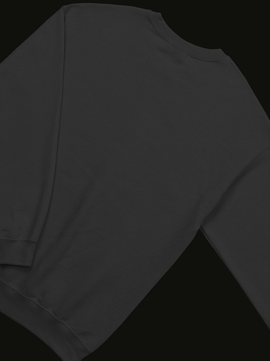Fourthwall x Champion Crewneck [S149] product image (4)