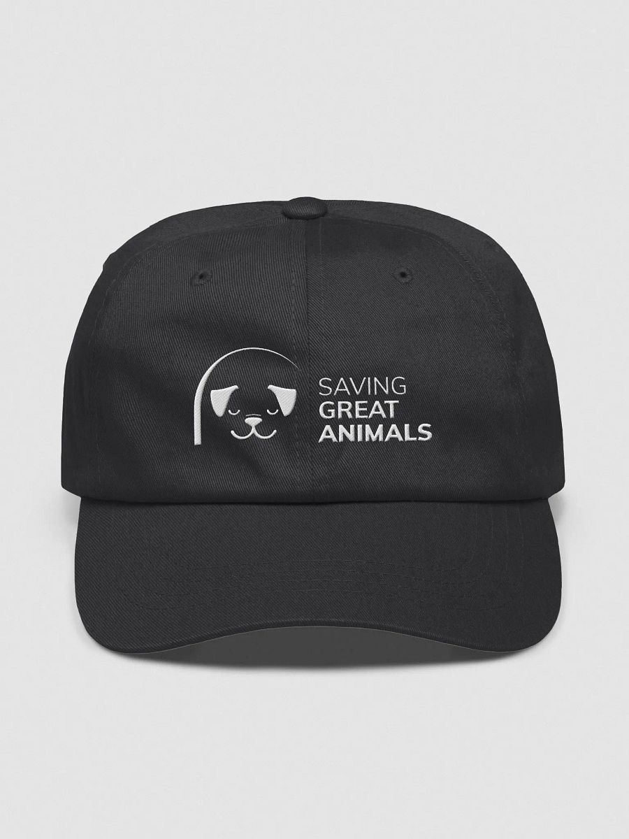 SGA Baseball Cap product image (1)
