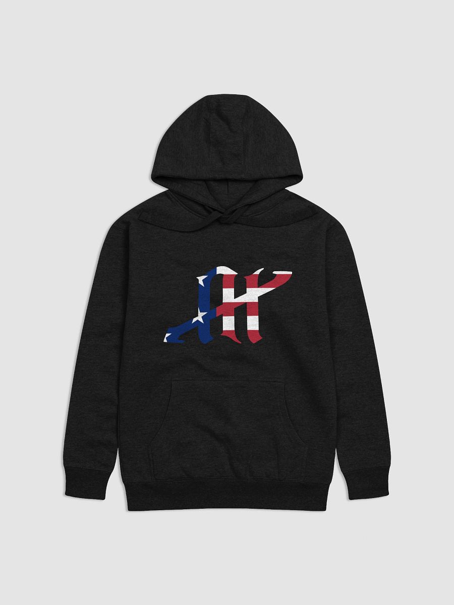 TMR AI USA Logo Hoodie product image (1)