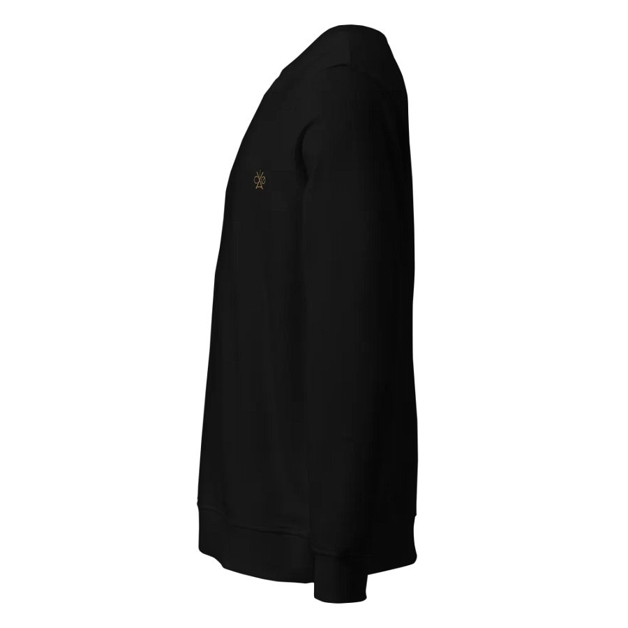 VACIO ICON Sweatshirt (Gold) product image (3)