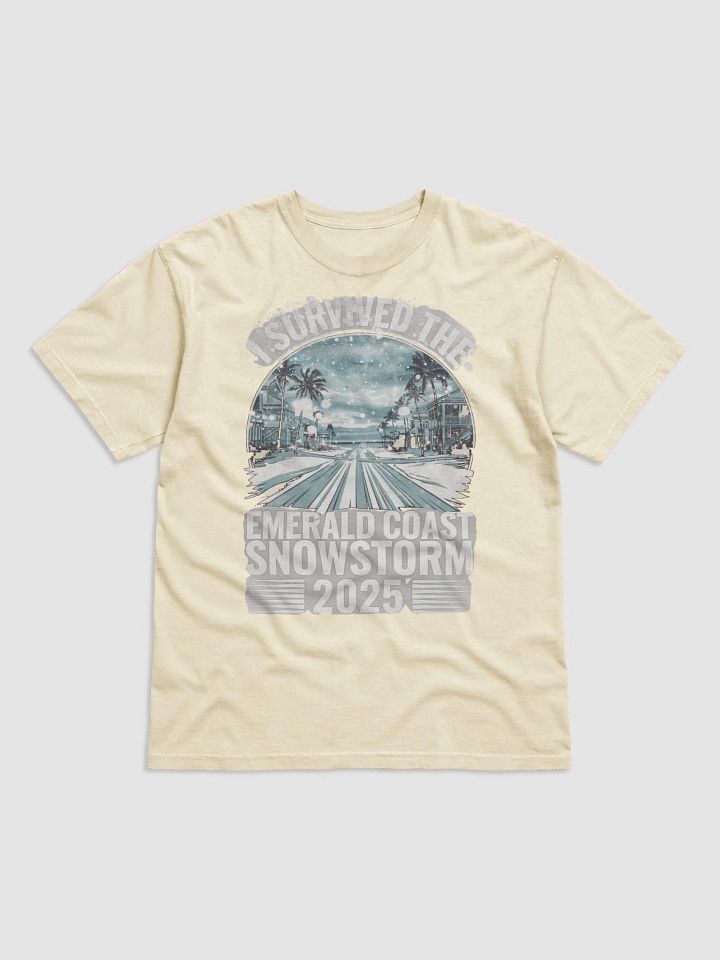 I Survived the Emerald Coast Snowstorm 2025 T-Shirt - Comfort Colors product image (1)