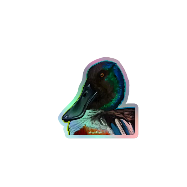 northern shoveler duck sticker product image (1)