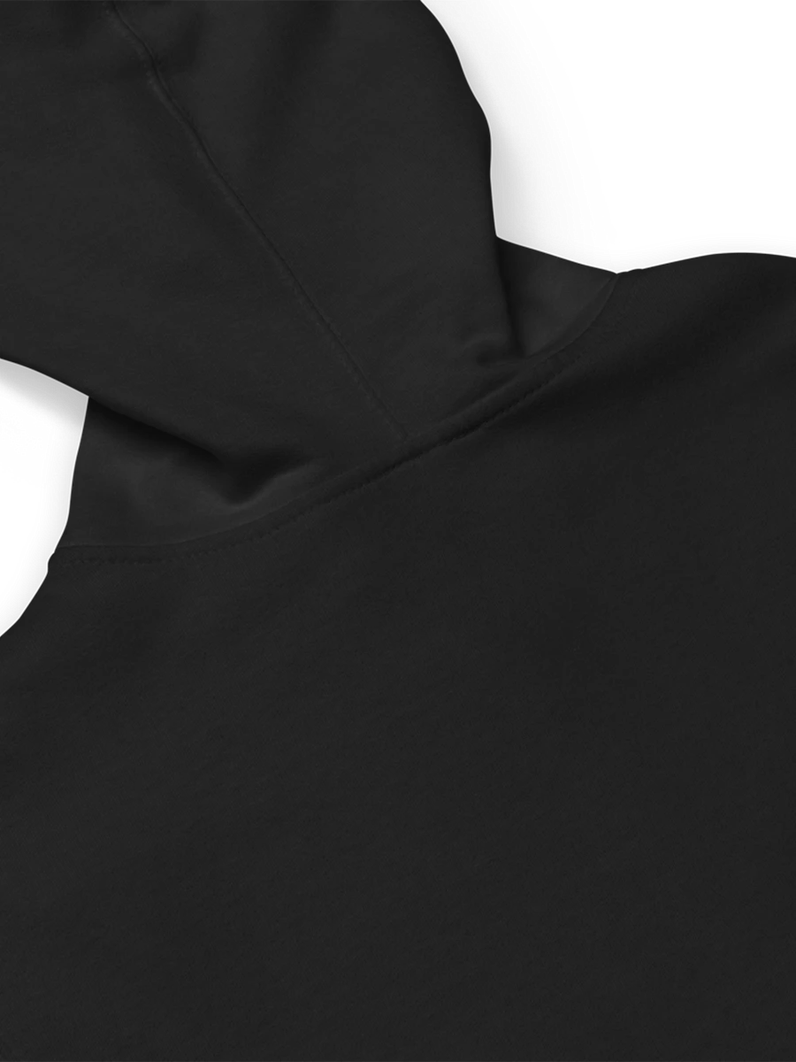 DISYT Hoodie product image (6)