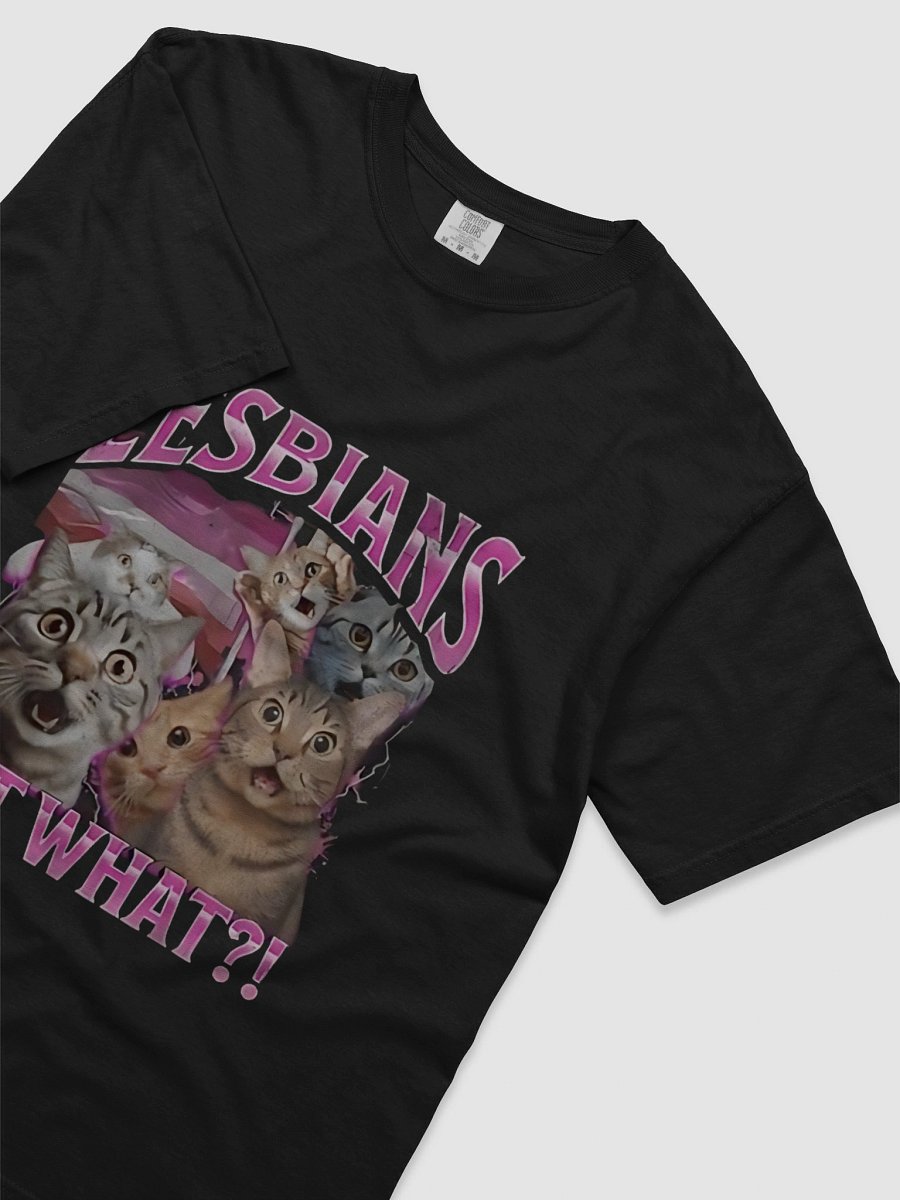 Surprised Cats Lesbians Eat What T-shirt product image (3)