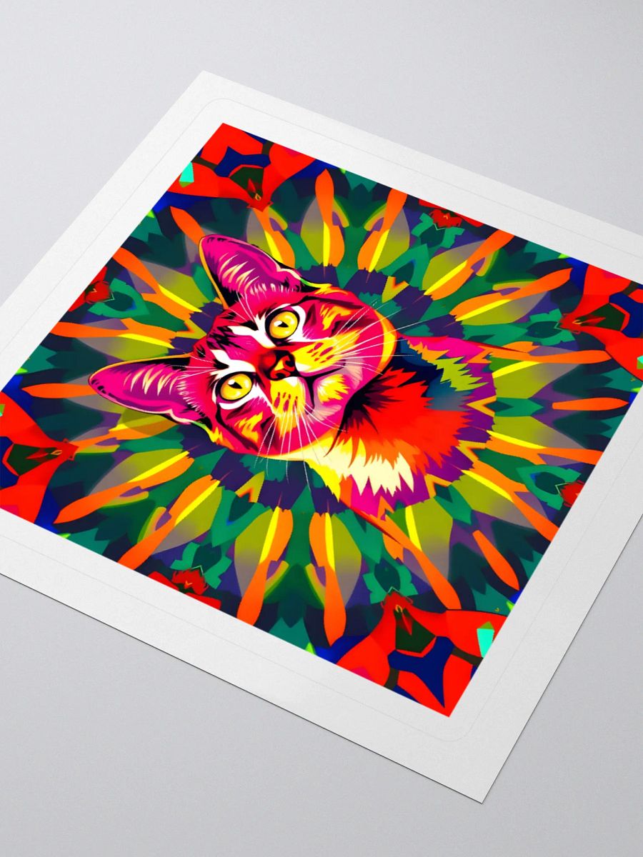 Cat product image (7)