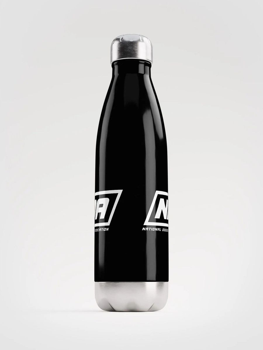 National Dodgeball Association Stainless Steel Water Bottle product image (2)