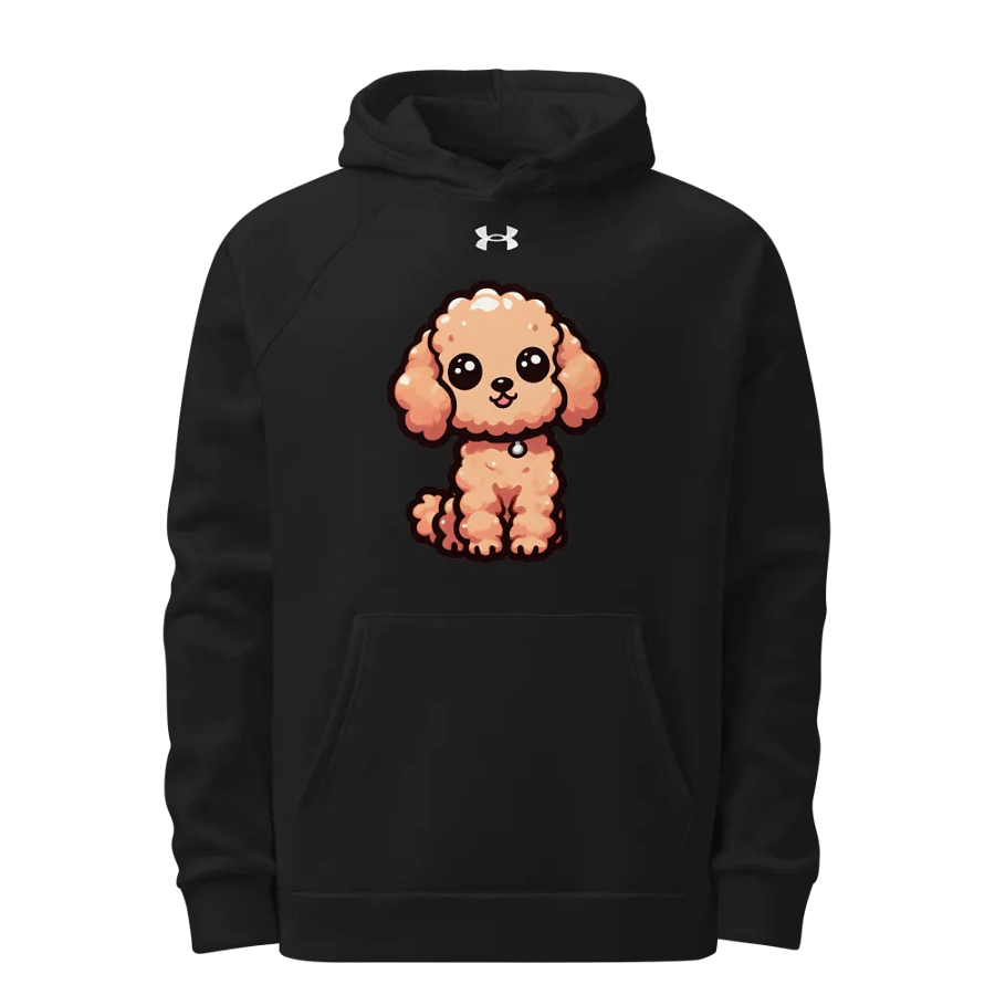Under Armour® Unisex Hoodie product image (1)