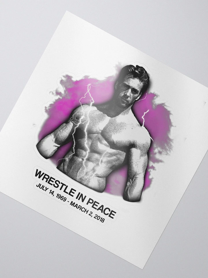 WRESTLE IN PEACE (STICKER) product image (2)