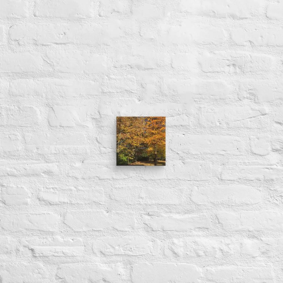 Fall Leaves Canvas product image (2)