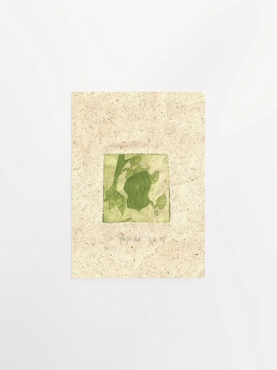 Green Paprika, Botanical Art Print product image (3)