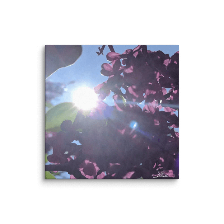 Lillac's and Sunshine product image (15)