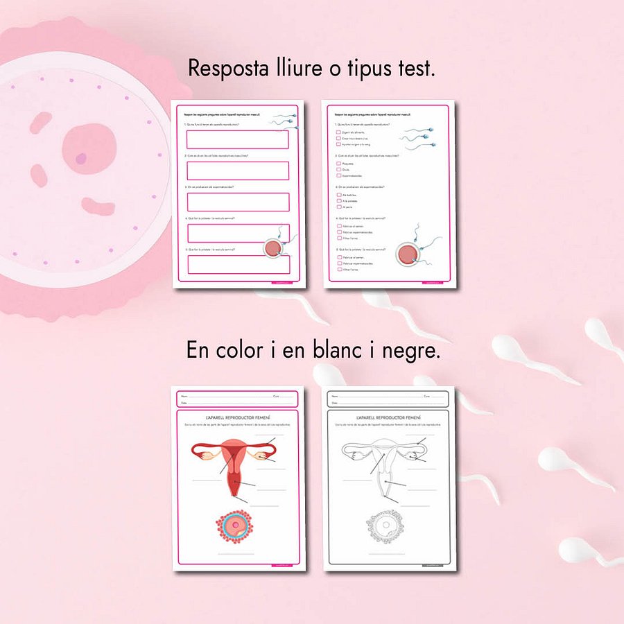 L'aparell reproductor product image (3)