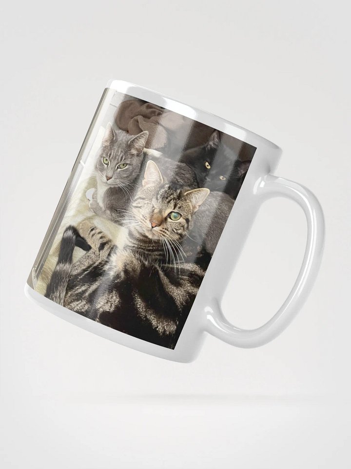 KITTYLOU21'S CATS product image (2)
