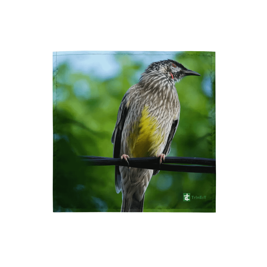 Bird Bandana product image (1)