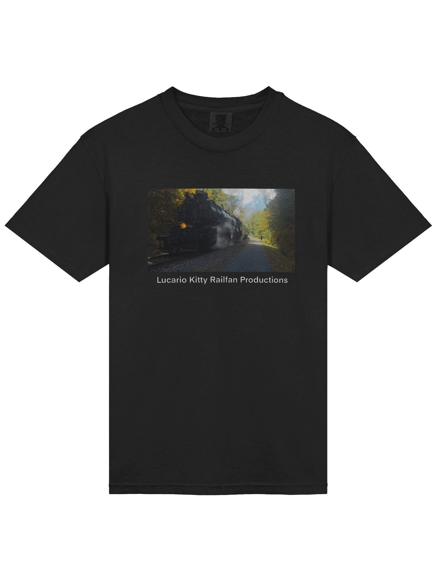 Western Maryland 1309 product image (20)