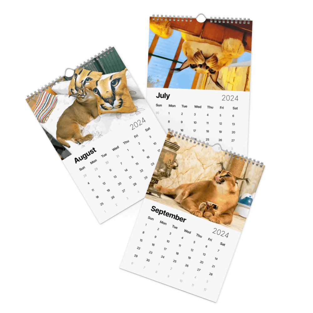 FLOPPA CALENDAR FOR 2024 product image (12)