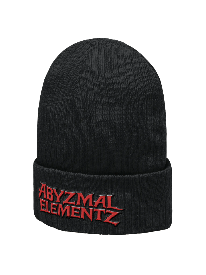 AE Logo Beanie product image (2)