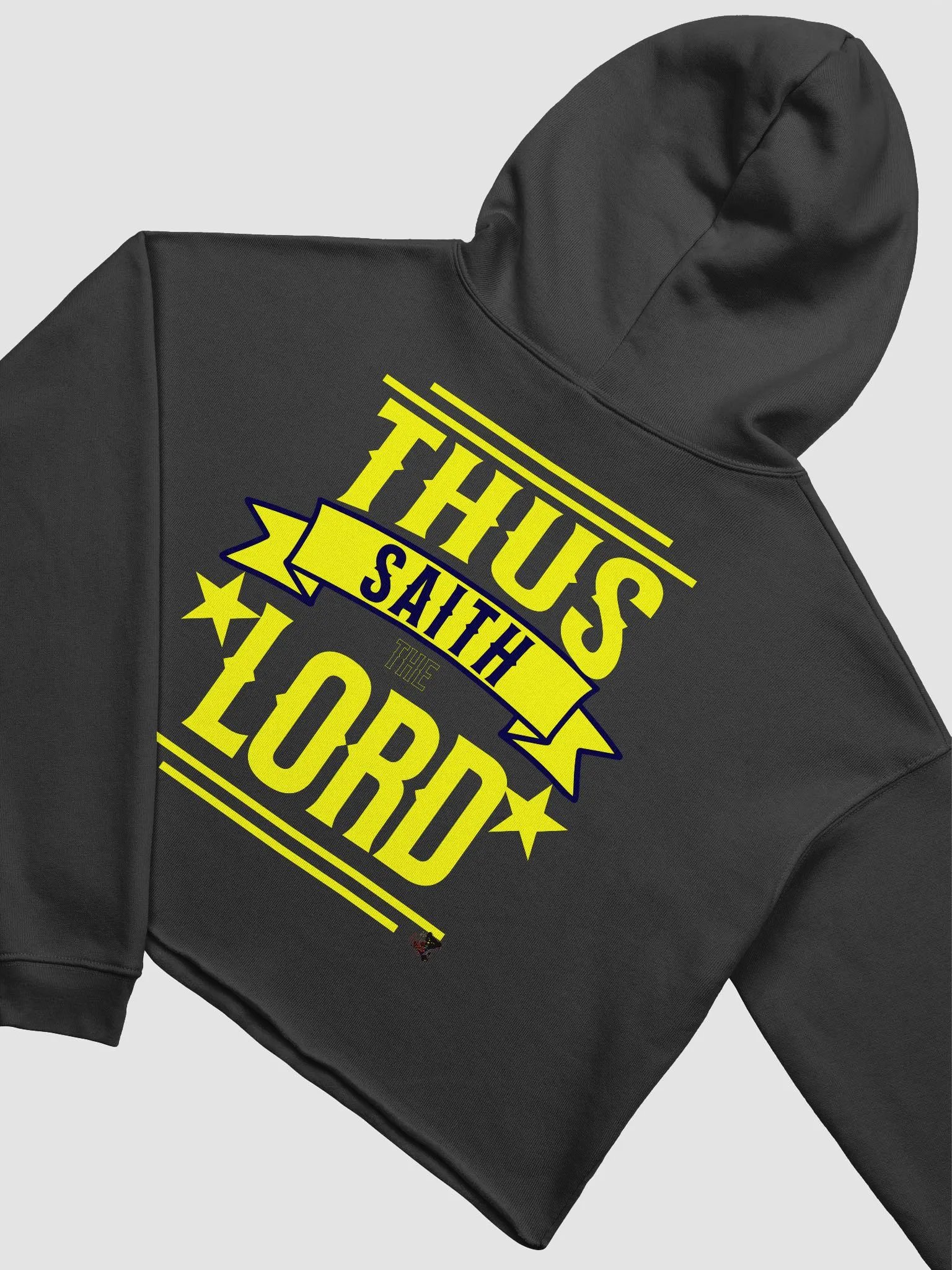 Divine Proclamation Crop Hoodie product image (4)