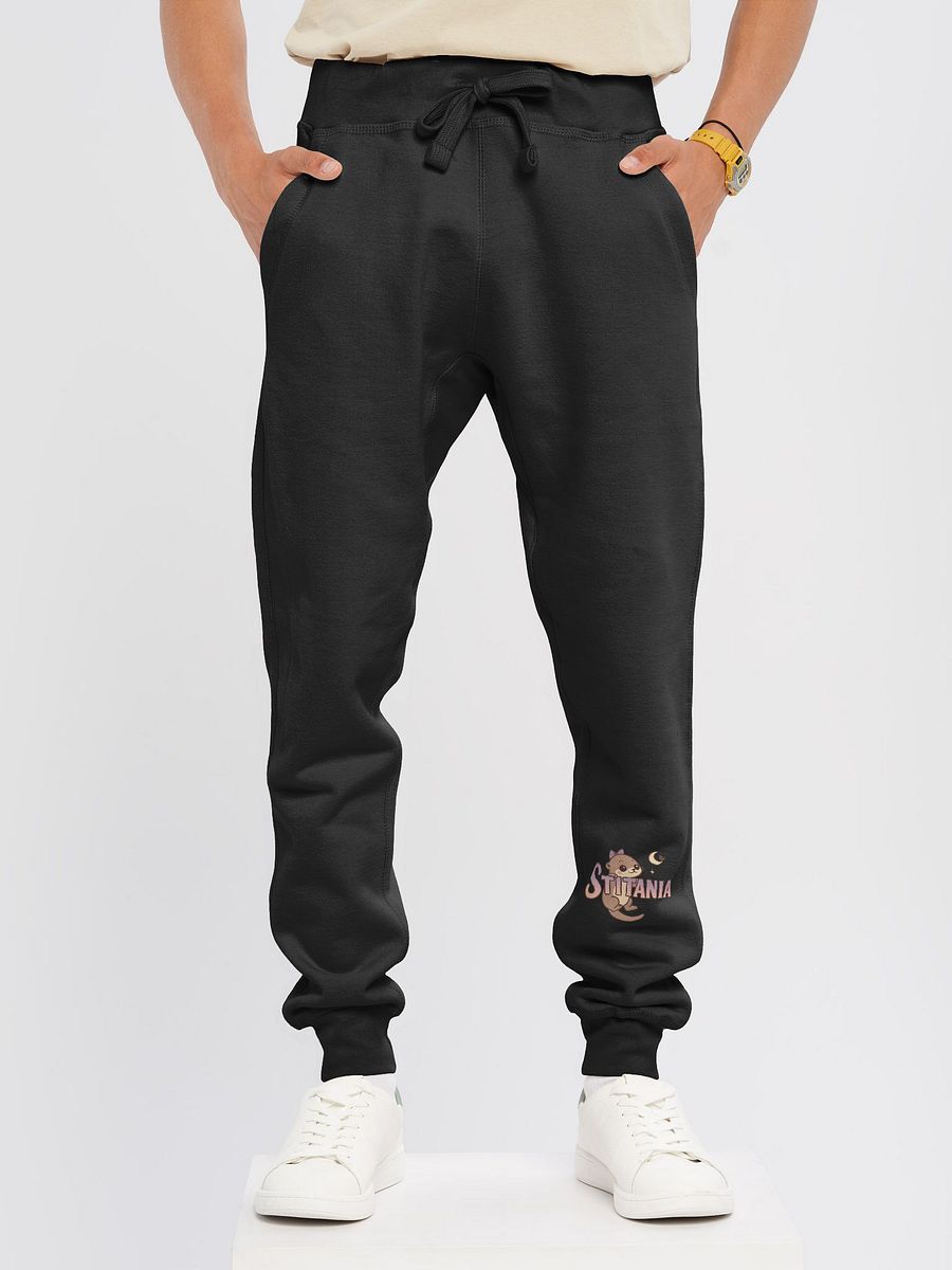 Stitania Otter Men Joggers product image (12)