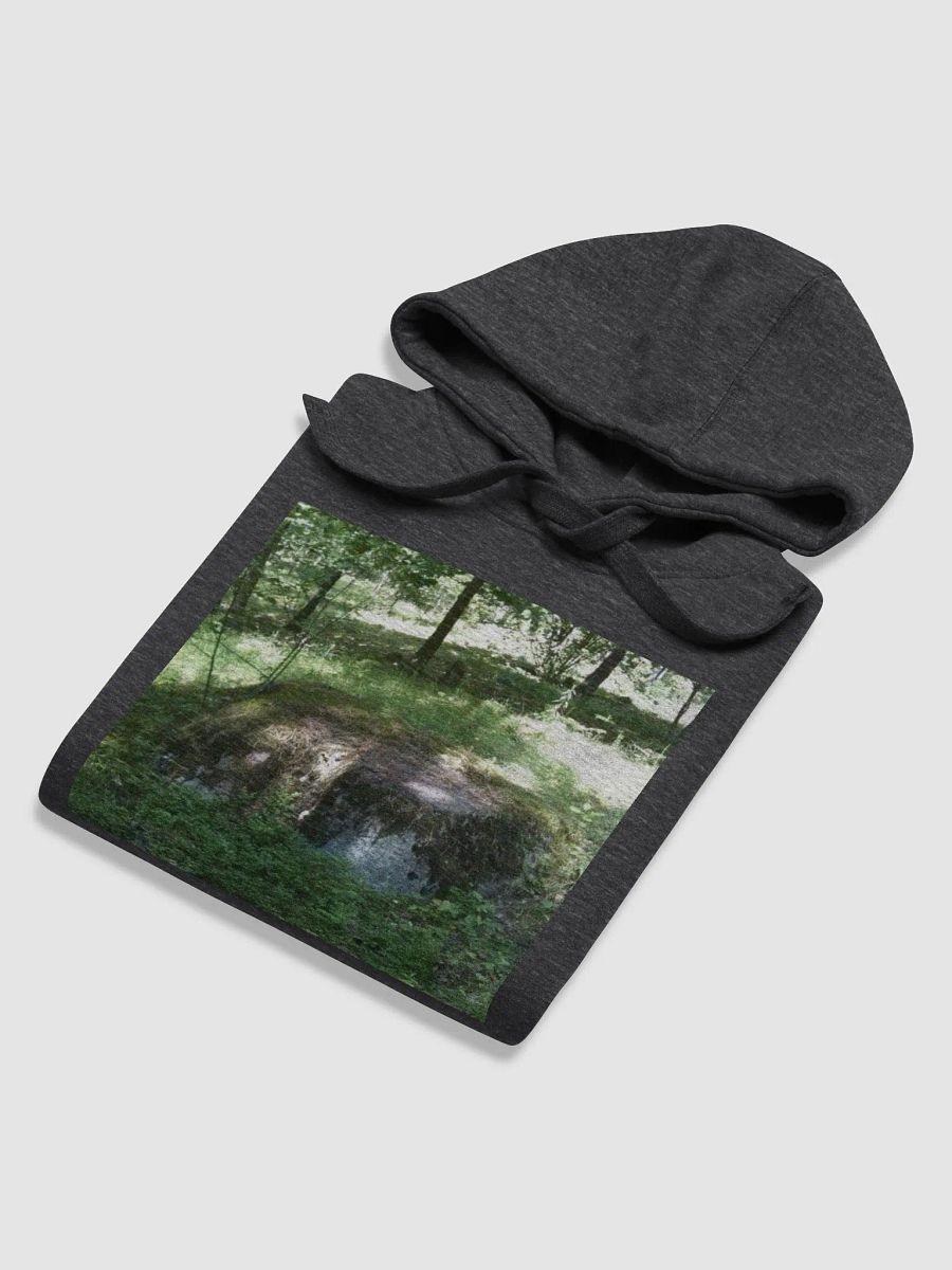 Rimas Zeimys hoodie product image (6)