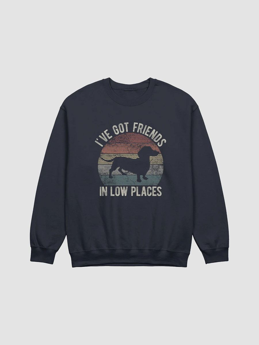 I've Got Friends in Low Places Dachshund Sweatshirt | Funny Vintage-Style Shirt for Wiener Pawrents product image (13)