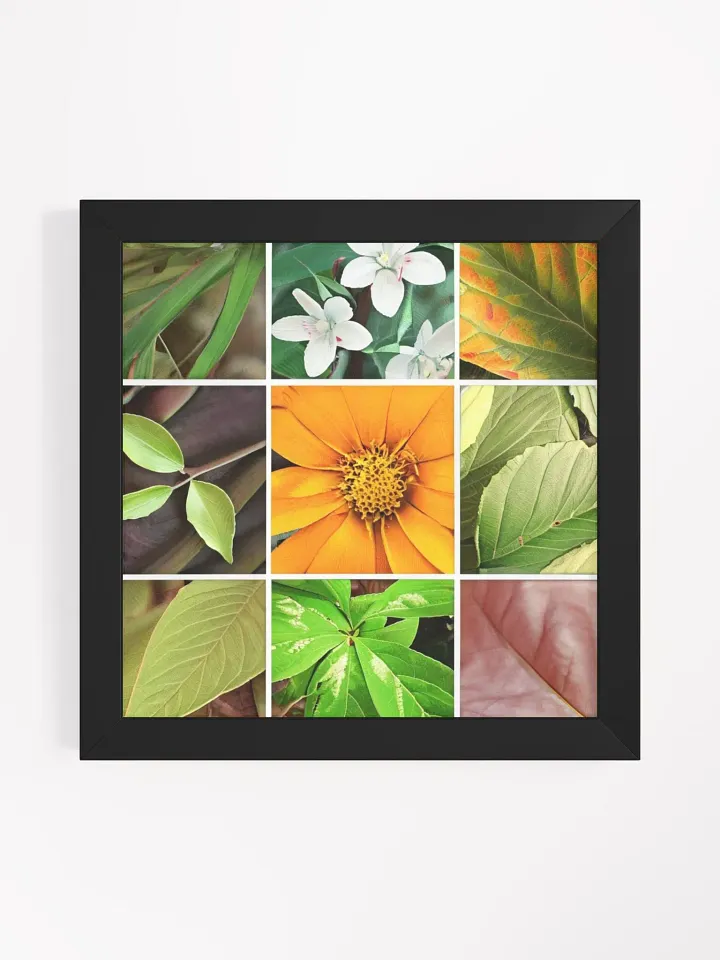 Framed High-Quality Matte Poster: Vibrancy in Bloom product image (2)