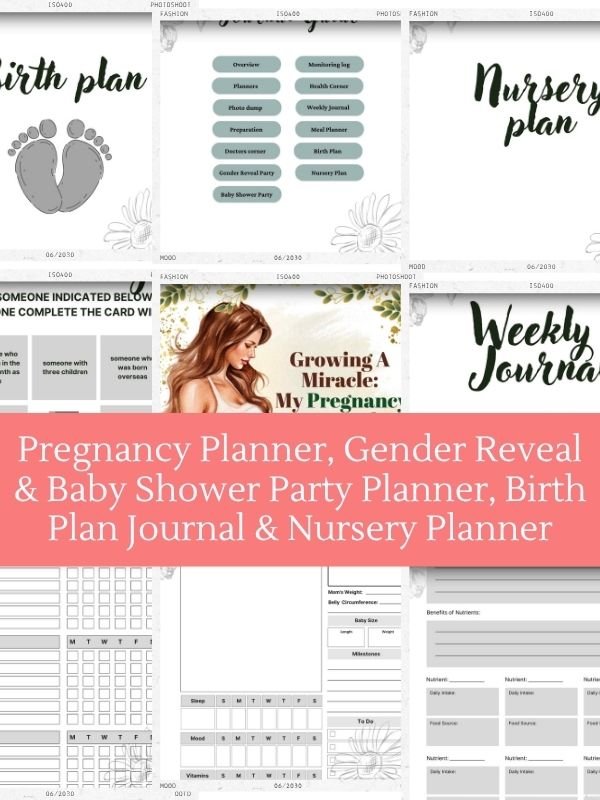 Ultimate Pregnancy Planner Printable in Canva product image (4)