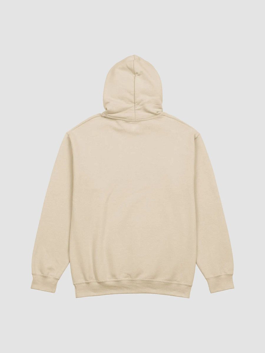 Fortune Favors The Bold Hoodie product image (4)