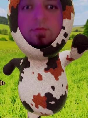 These filters ahahahahah