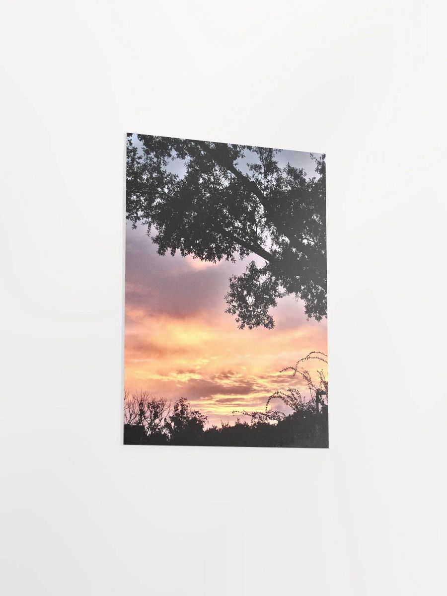 Florida Sunset 3 product image (40)
