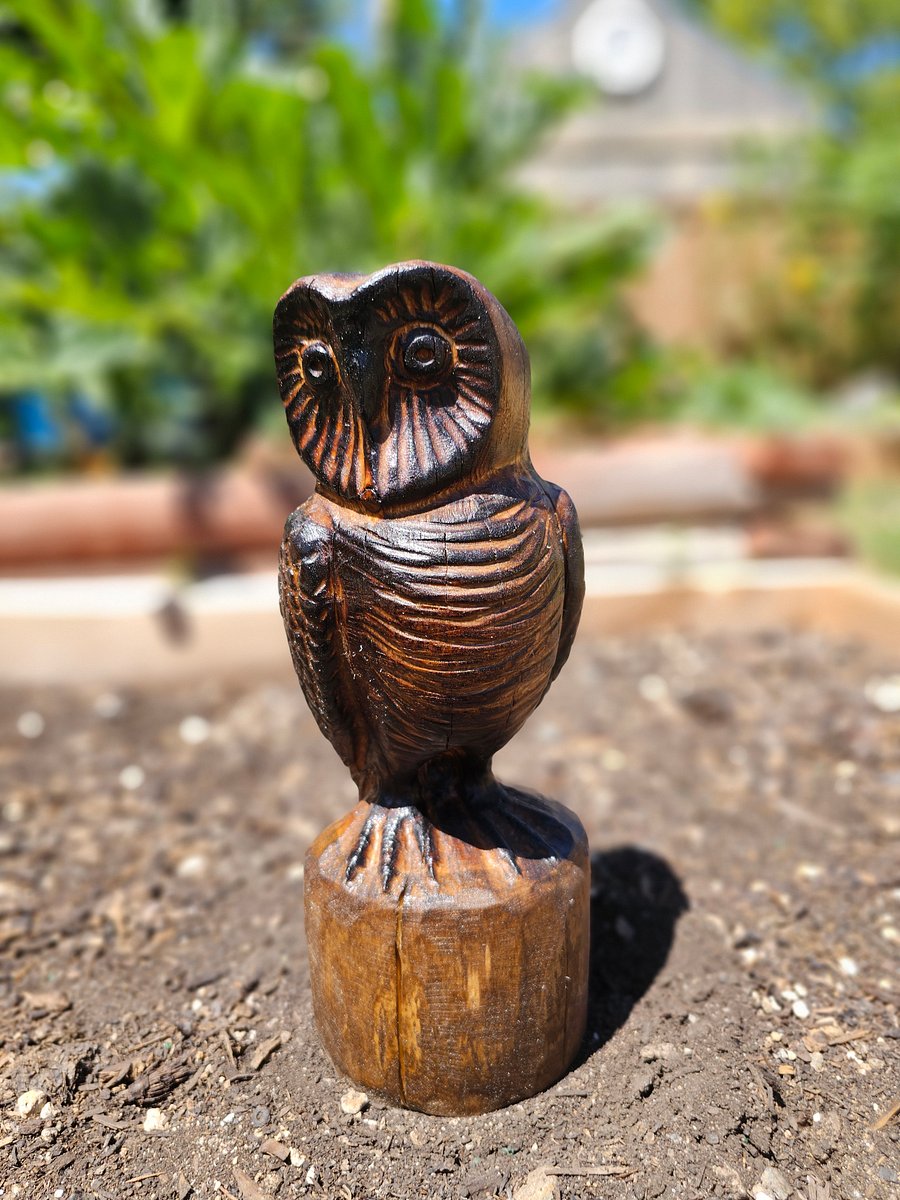 Wood Carved Owl! product image (5)